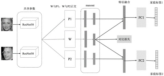 Method and device for automatic recognition of blood relationship based on face image analysis