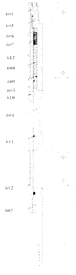 String and fracturing construction method for horizontal well fracturing completion