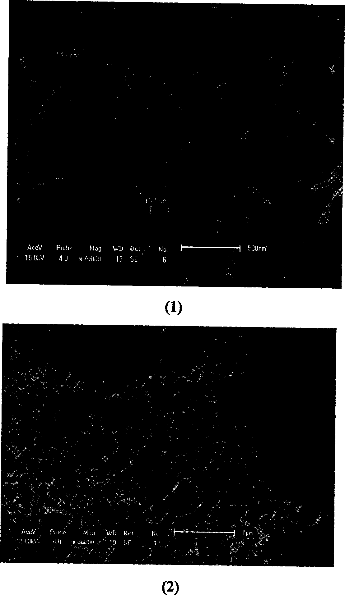 Highly water-soluble carbon nanometer tube preparation method