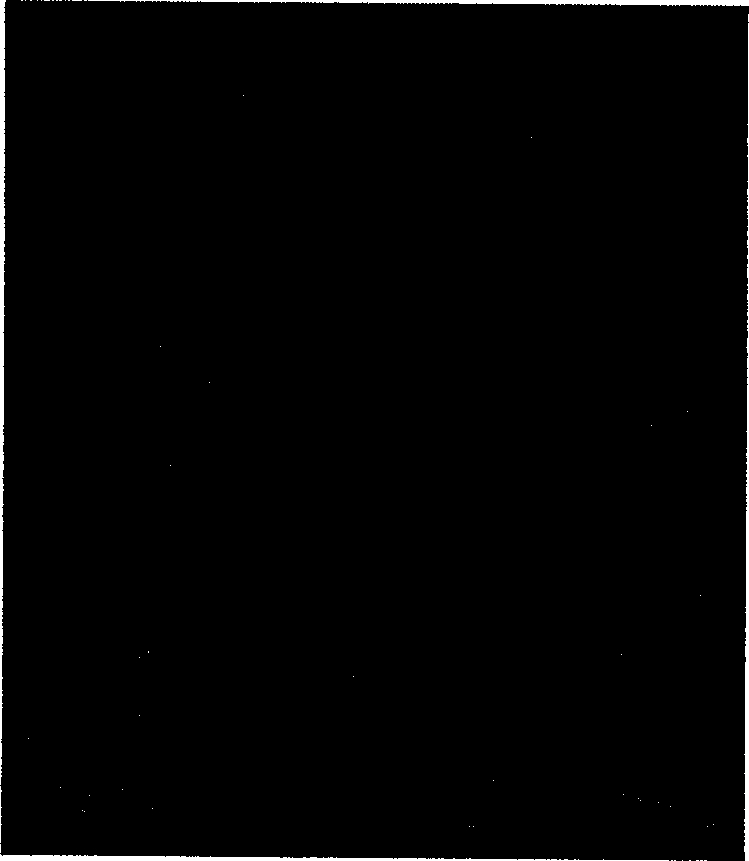 Highly water-soluble carbon nanometer tube preparation method