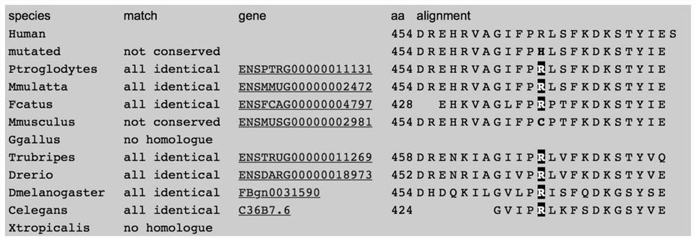 The application of the marker clptm1 in the diagnosis and treatment of epilepsy