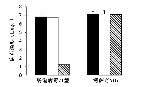 Water extract of houttuynia cordata thunb and preparation method and application of water extract