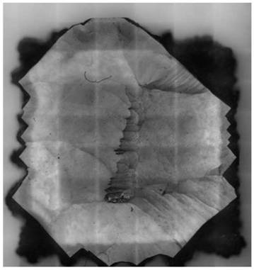 Microwave plasma CVD (chemical vapor deposition) monocrystal diamond preparation device capable of improving stability and monocrystal diamond preparation method