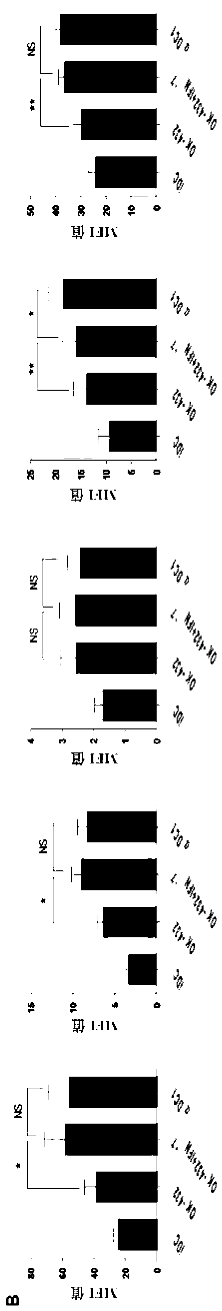 Composition and method for stimulating dendritic cell maturation