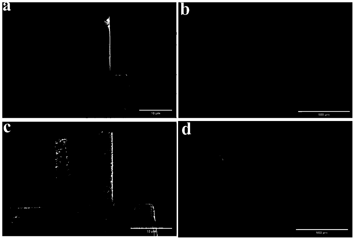 Preparation method for nano CT sample of catalytic layer of proton exchange membrane fuel cell