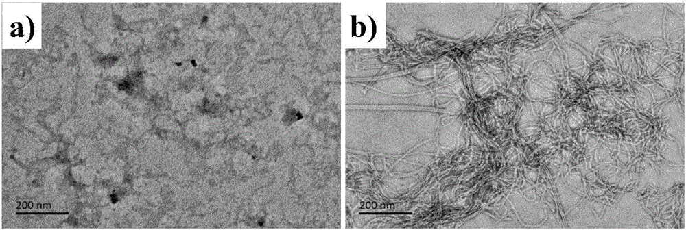 Self-assembly antibacterial peptide