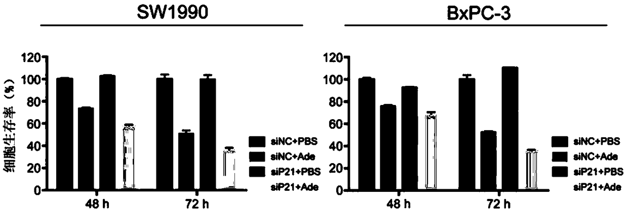 Pharmaceutical composition with synergistic effect for treating pancreatic cancer