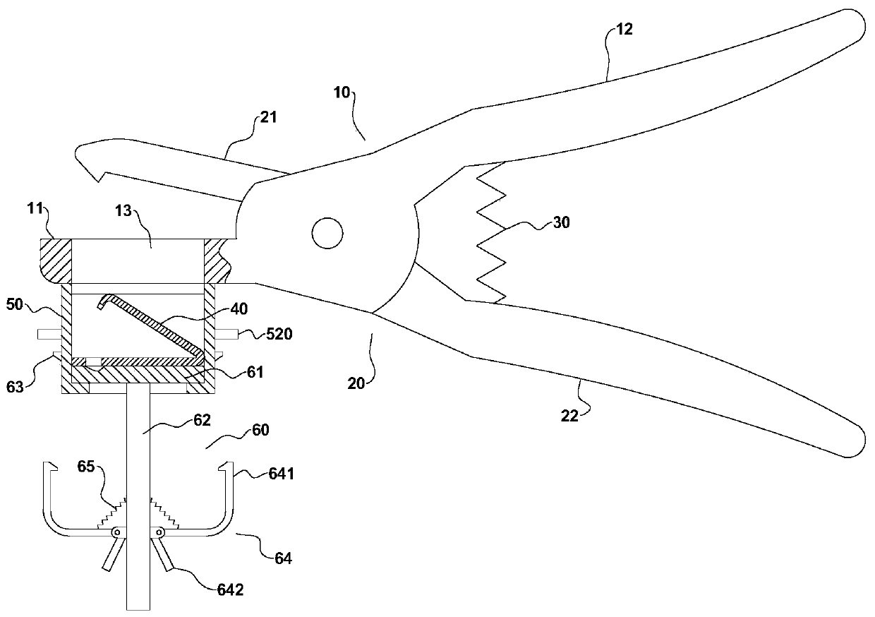 Lab mouse ear tag forceps