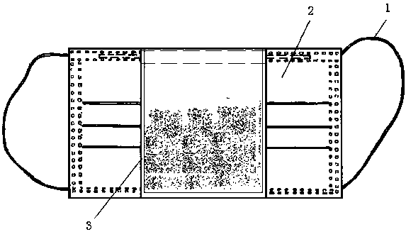 Manufacturing method and application of sachet toxin-removing mask for preventing and treating COVID-19