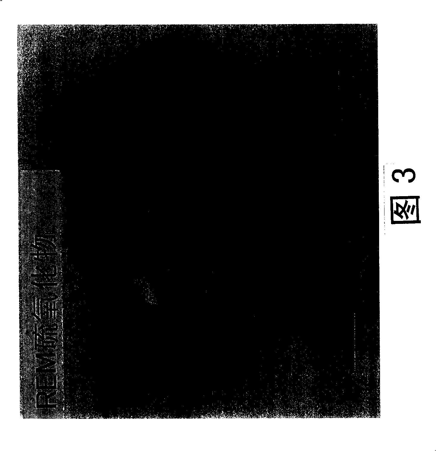 Non-oriented silicon steel sheet having excellent core loss and production method thereof