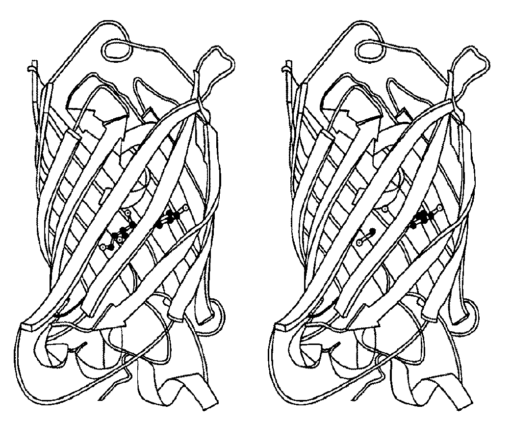 System and method for dense-stochastic-sampling imaging