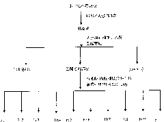 Application of aporphine alkaloid, oxoaporphine alkaloid and derivatives thereof in preparing antibacterial medicines