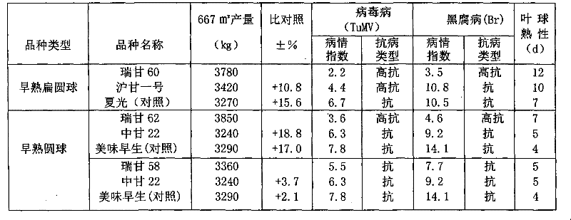 Simplified breeding method for preparing hybrid cabbage by using cytoplasmic male sterile lines