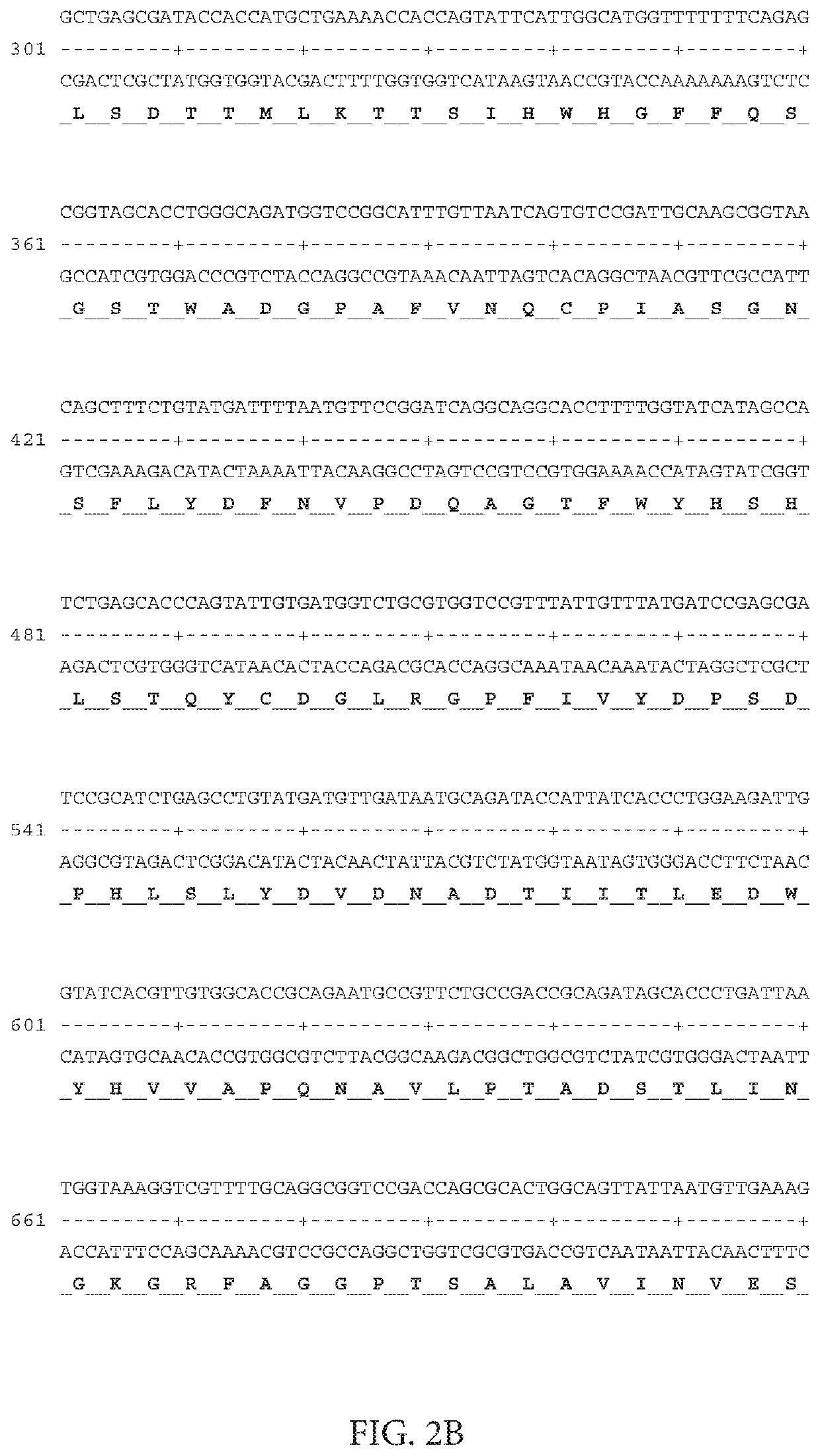 Synthetic fusion gene and its use thereof