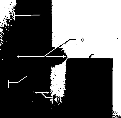 Ligusticum chuanxiong hort frozen stem and preparation method thereof