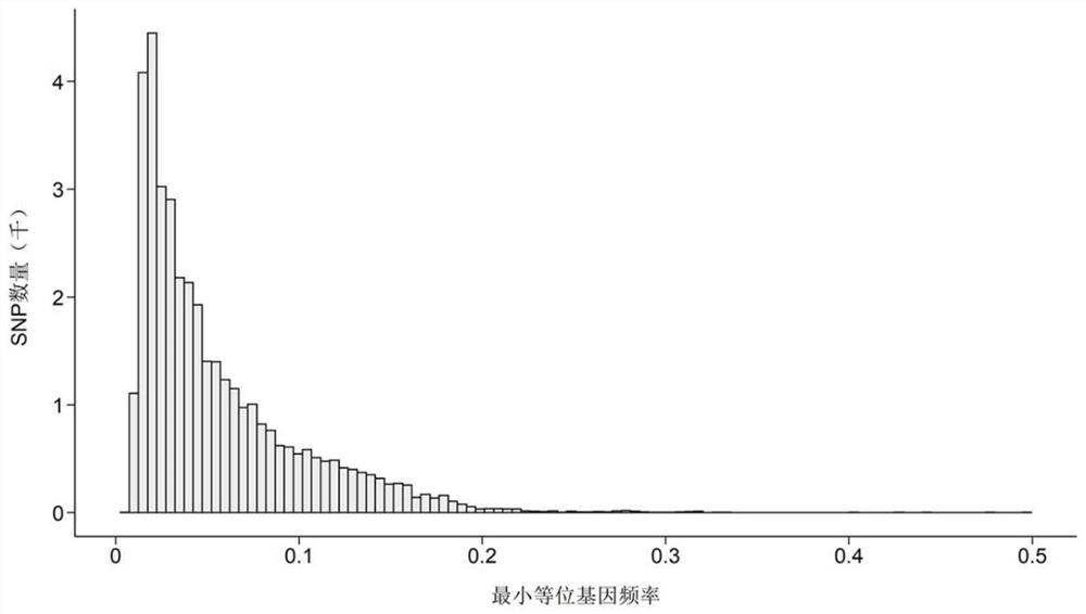 Cynoglossus semilaevis disease-resistant breeding gene chip and application thereof