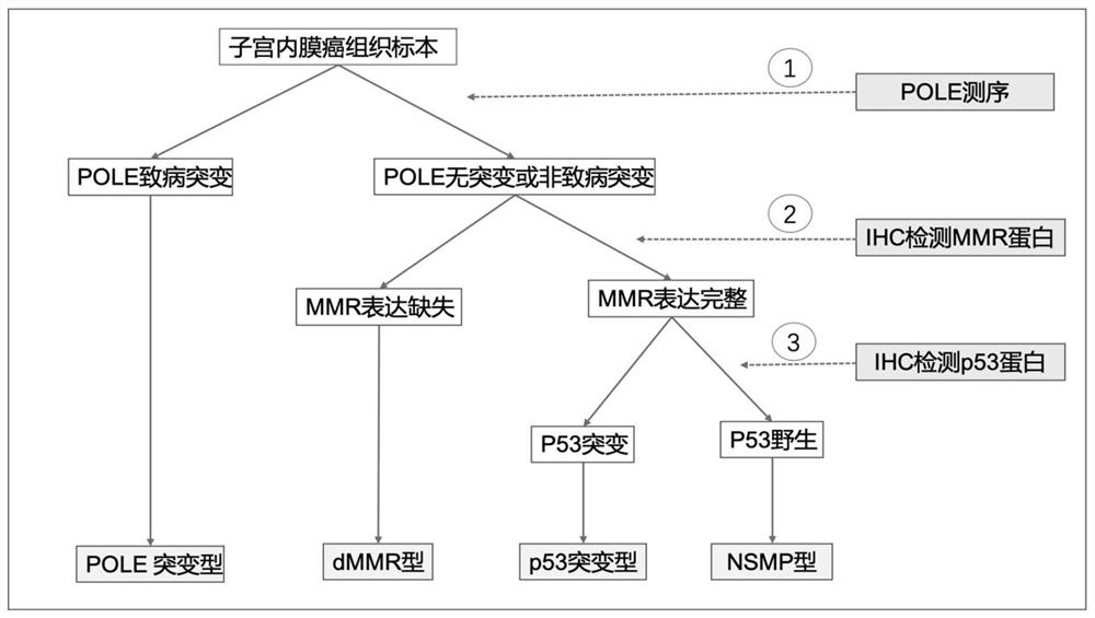 A preparation and recurrence risk model for judging the prognosis of early endometrial cancer