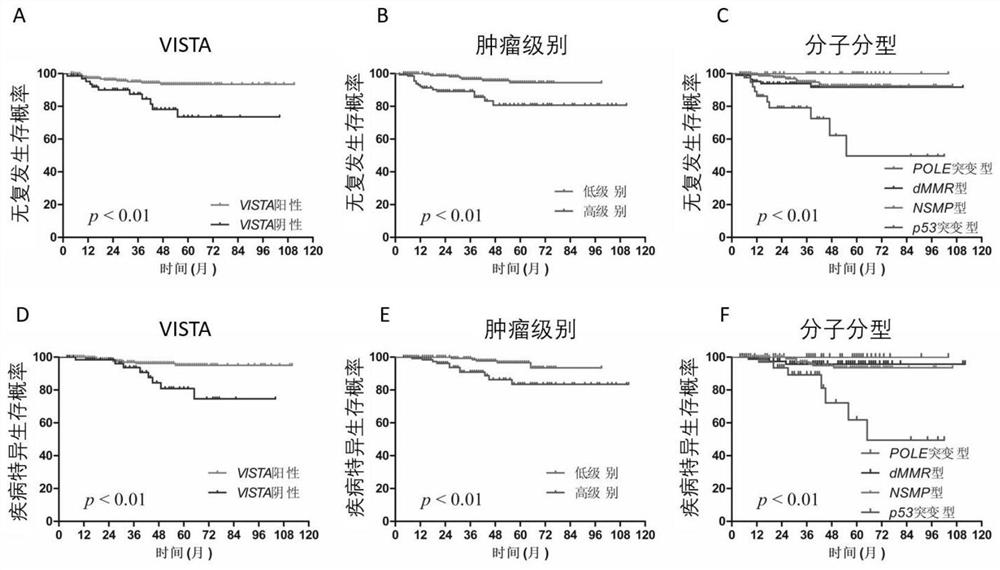 A preparation and recurrence risk model for judging the prognosis of early endometrial cancer