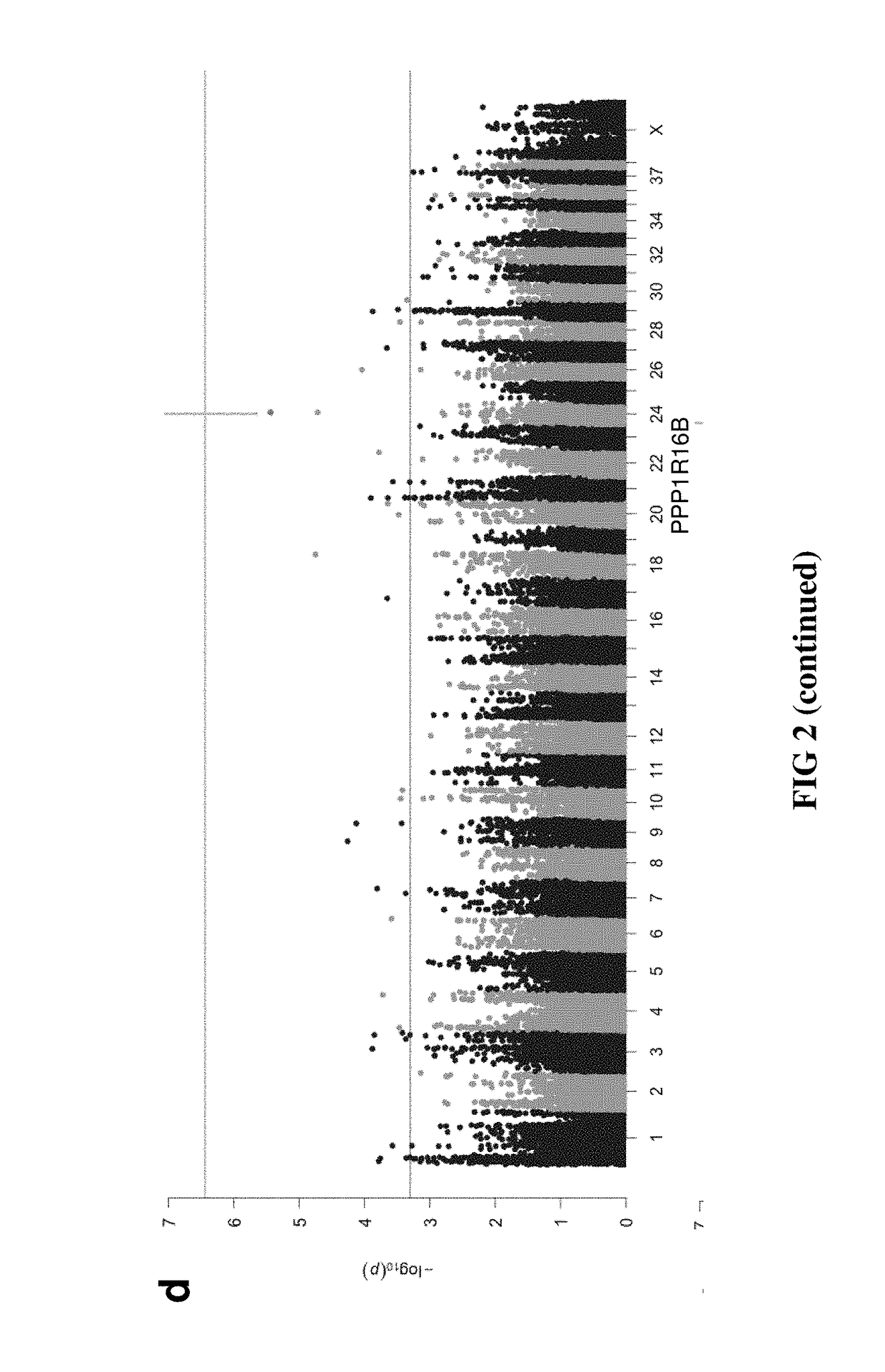 Method to predict heritable canine non-contact cruciate ligament rupture