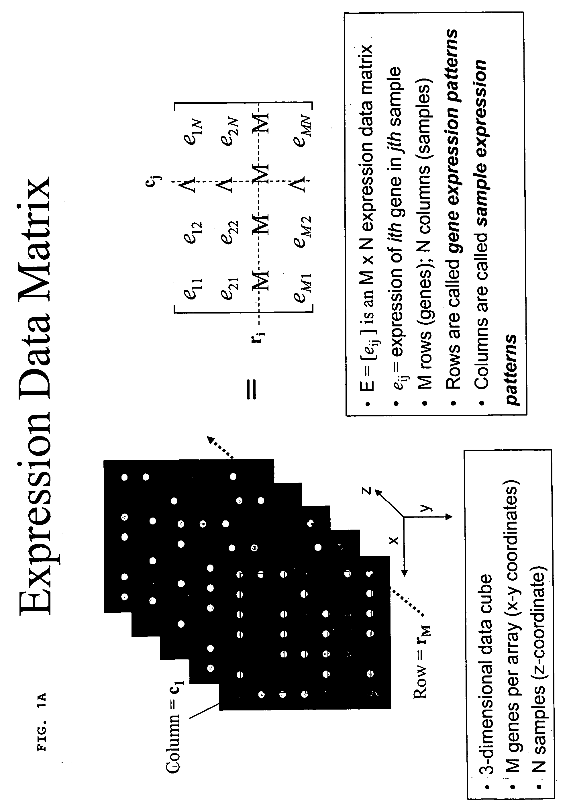 Methods for enhanced detection & analysis of differentially expressed genes using gene chip microarrays