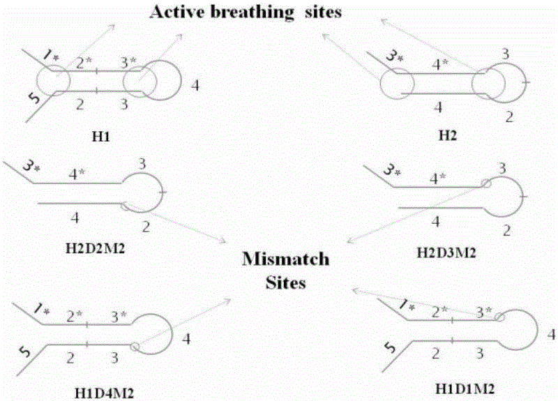 A kind of electrochemical sensor and its preparation and application