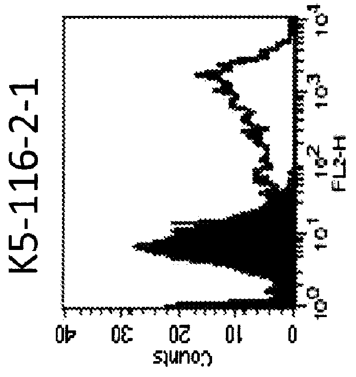 Anti-human trop-2 antibody having Anti-tumor activity in vivo