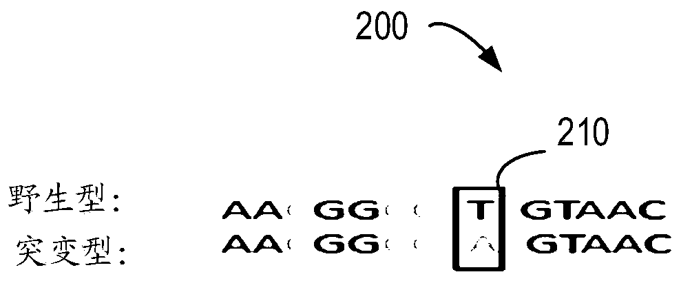 Method for detecting mutation, electronic equipment and computer storage medium