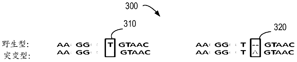 Method for detecting mutation, electronic equipment and computer storage medium