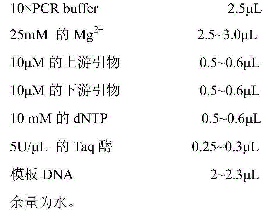 Pseudomonas aeruginosa detection kit and application thereof