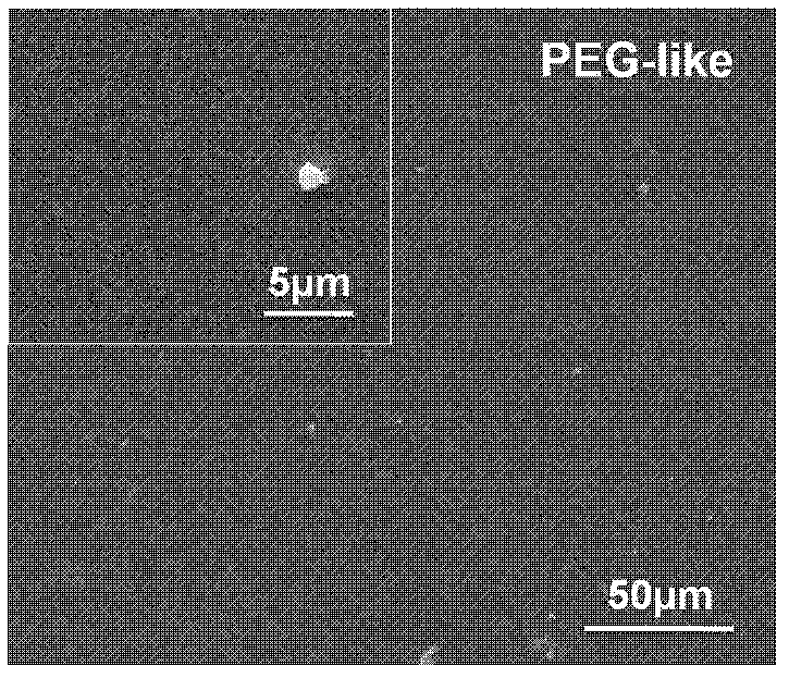 Preparation method of recyclable surface film of inferior vena cava filter based on (PEG) polyethylene glycol-like