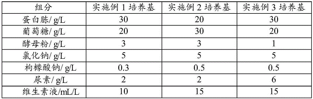 Pseudomonas aeruginosa fermentation medium, fermentation culture method thereof and vaccine preparation method