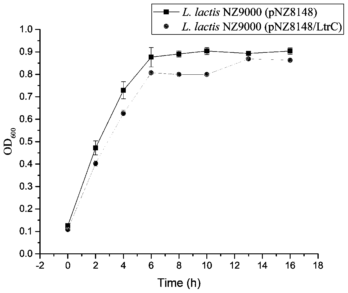 A kind of anti-acid stress recombinant lactic acid bacteria and its construction method