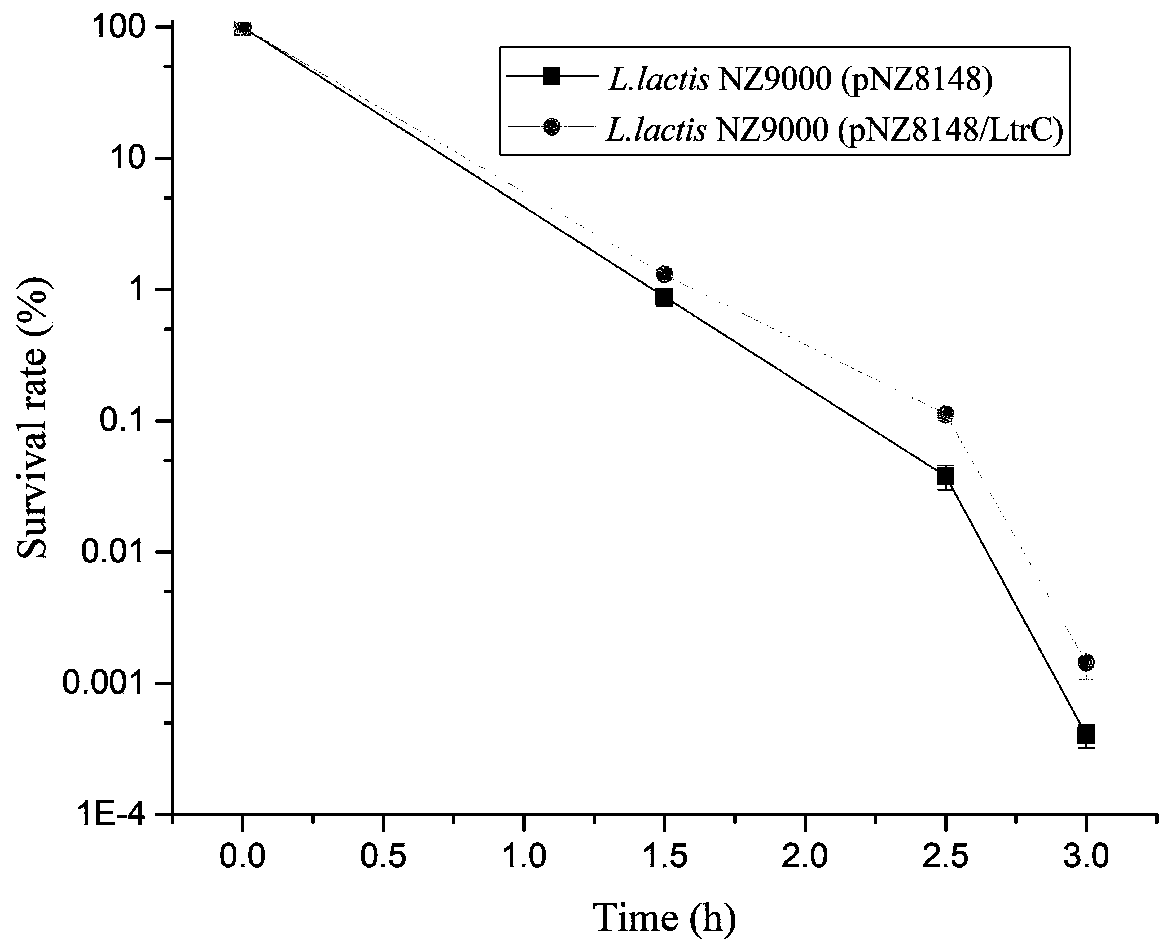 A kind of anti-acid stress recombinant lactic acid bacteria and its construction method