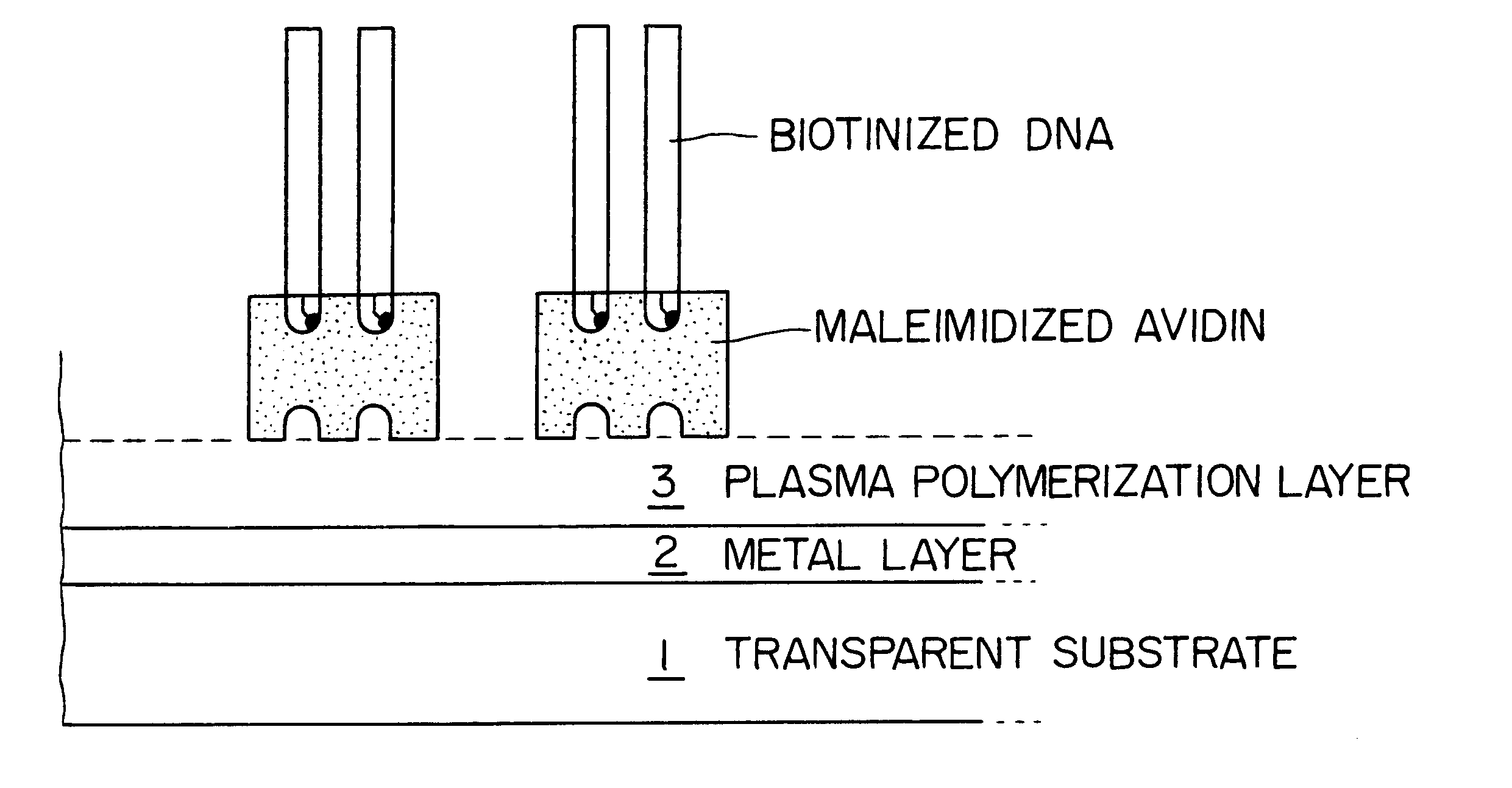 Measuring chip for surface plasmon resonance biosensor and method for producing the same