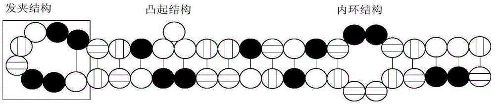 Bridge crane modeling method adopting hairpin mutation operation RNA genetic algorithm