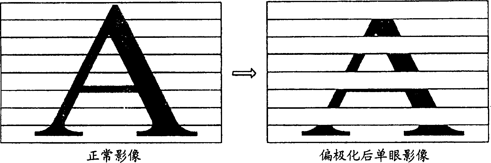 3D video display method and display system using this method