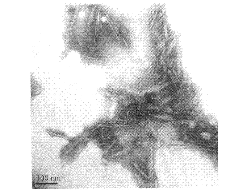 Method for preparing nanometer hollow bar-shaped silicon dioxide materials