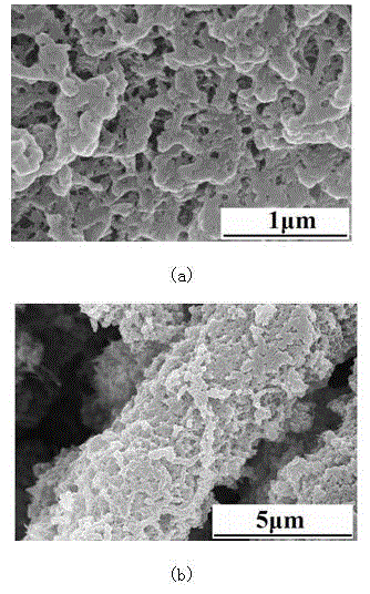 A modified aligned carbon nanotube bundle and its preparation method