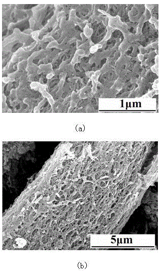 A modified aligned carbon nanotube bundle and its preparation method