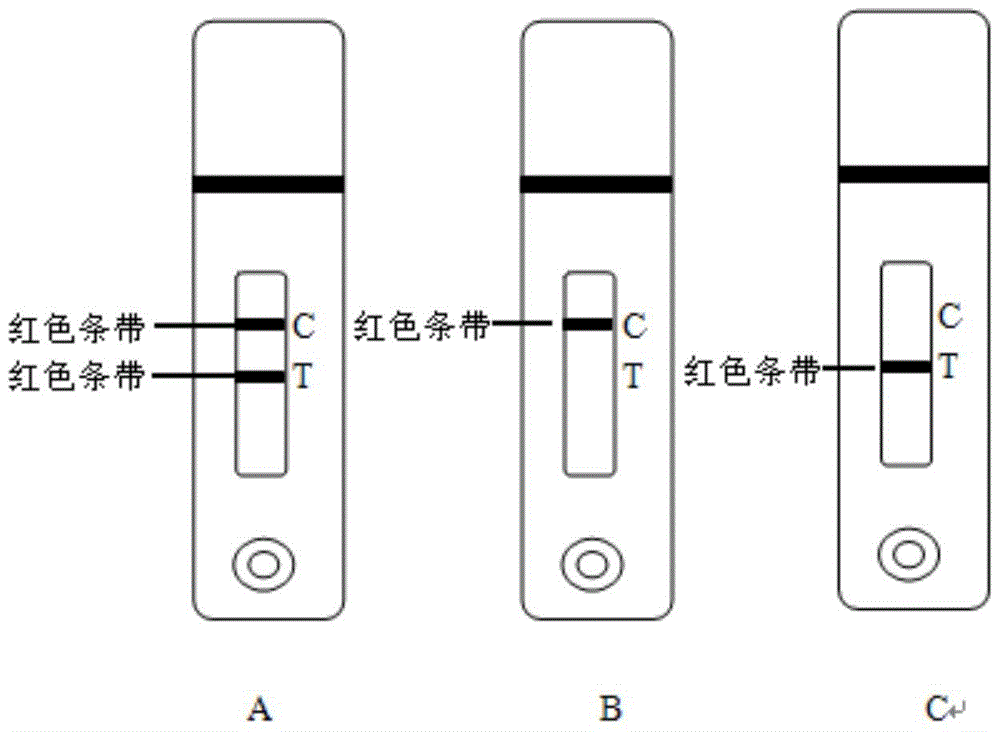 A method for detecting lincomycin and its special test paper