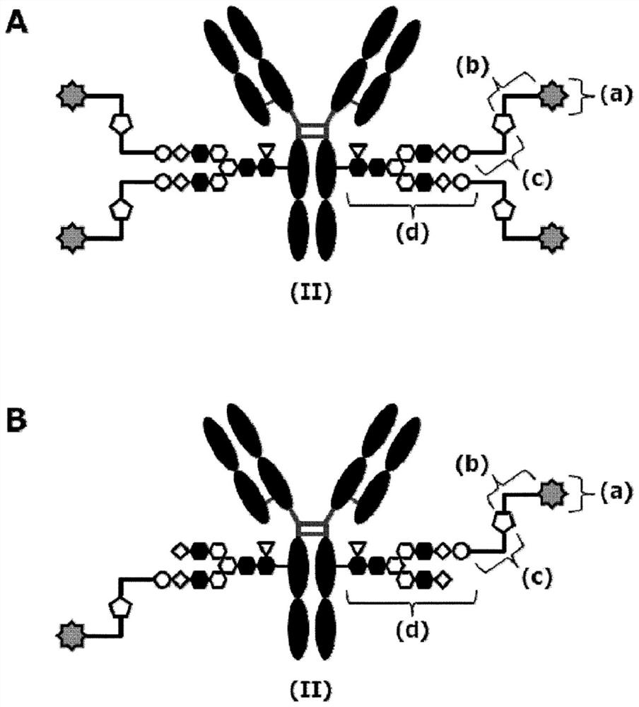 Novel cyclic dinucleotide derivative and antibody-drug conjugate thereof