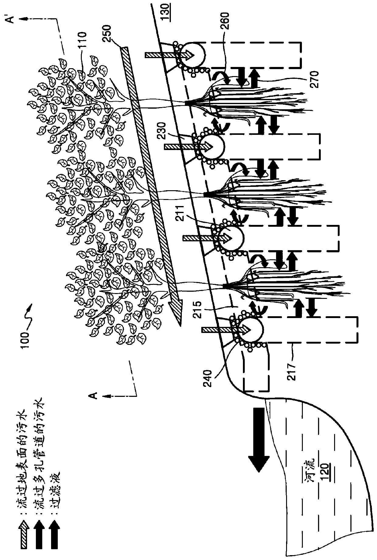 Water purification system using environmental purification plants