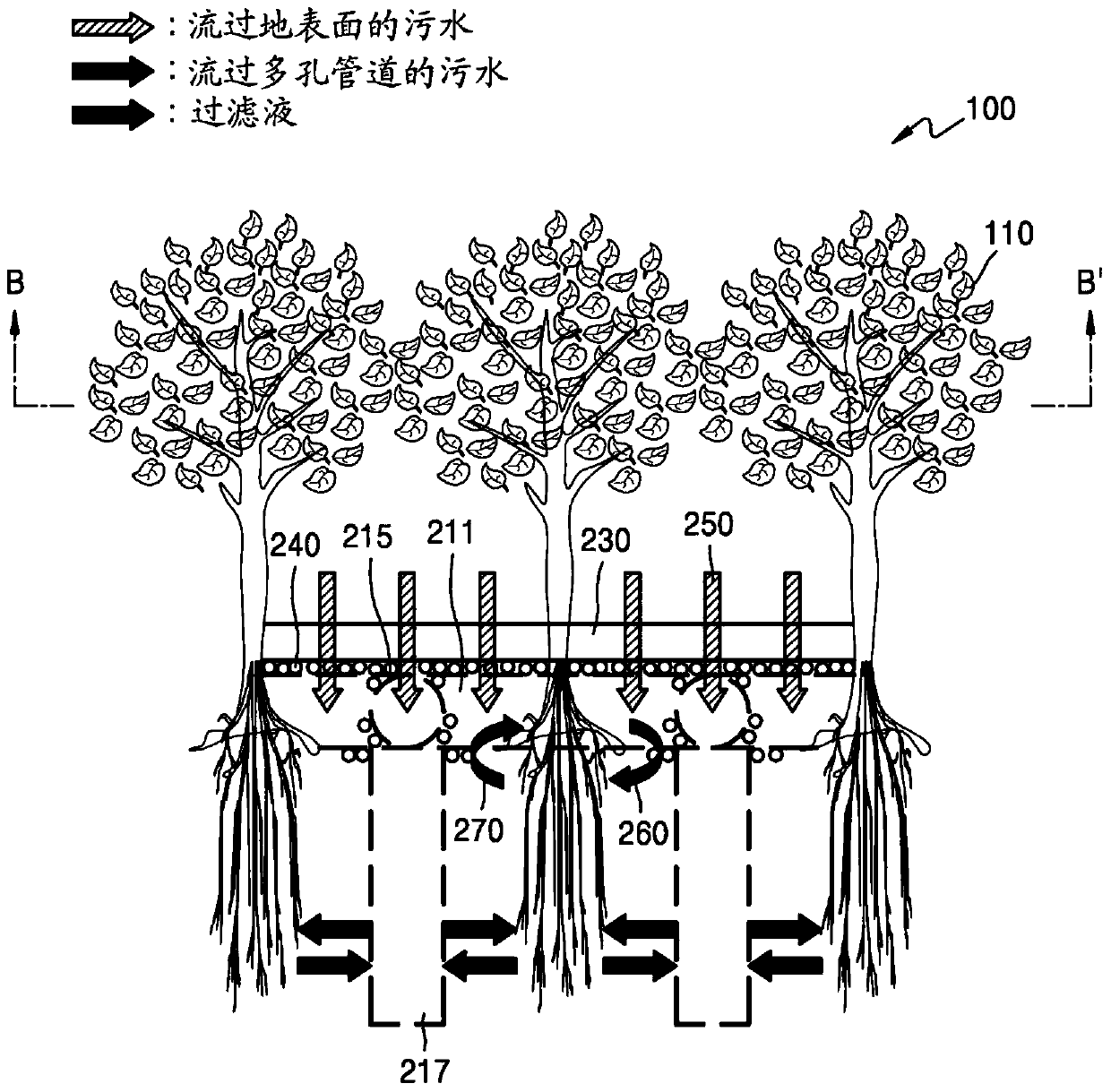 Water purification system using environmental purification plants