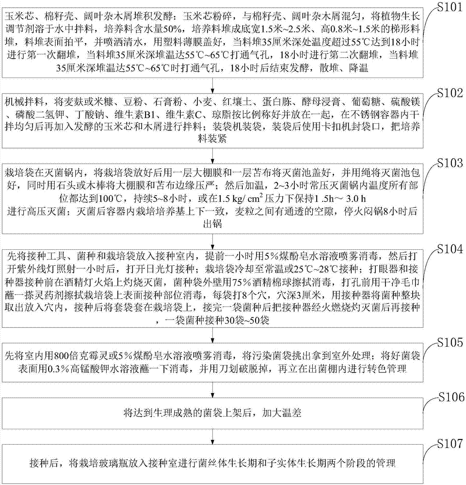 Method for culturing medicinal fungus by fungus grass