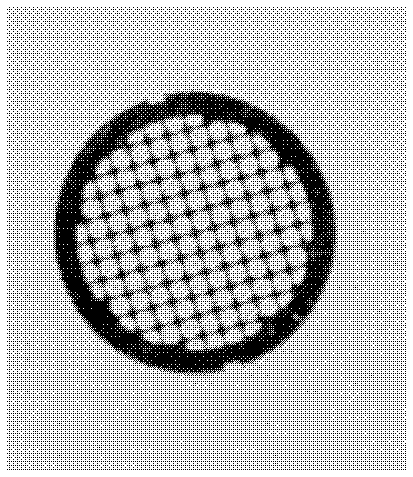 Tungsten foil mesh for transmission microscope and scanning microscope and method for making same