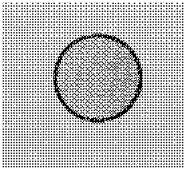 Tungsten foil mesh for transmission microscope and scanning microscope and method for making same