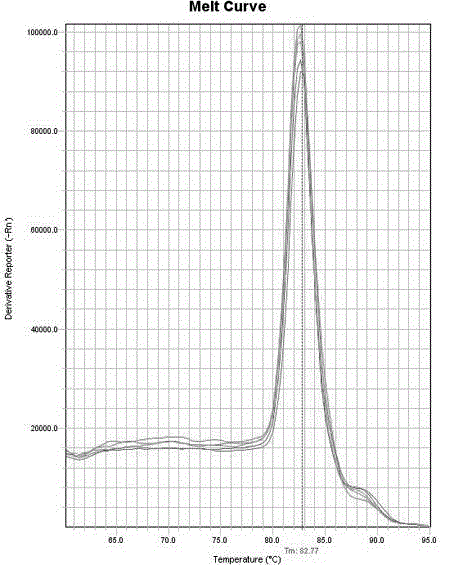 General atherosclerosis detection primer group for persons and monkey, detection chip and detection method