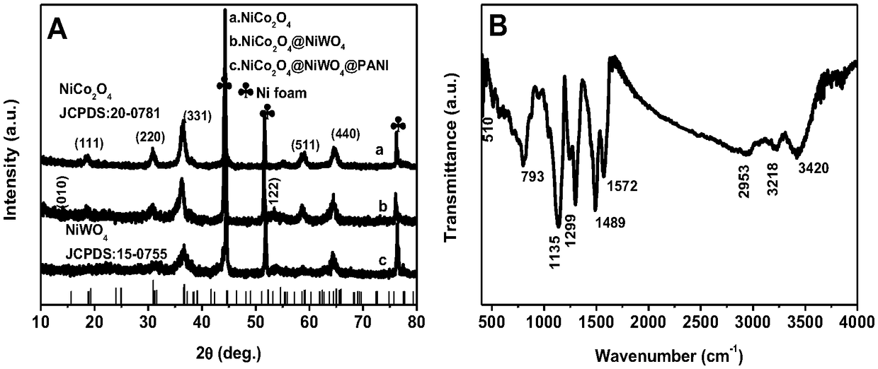 A preparation method of nickel cobaltate/nickel tungstate/polyaniline ternary composite nanowire array electrode