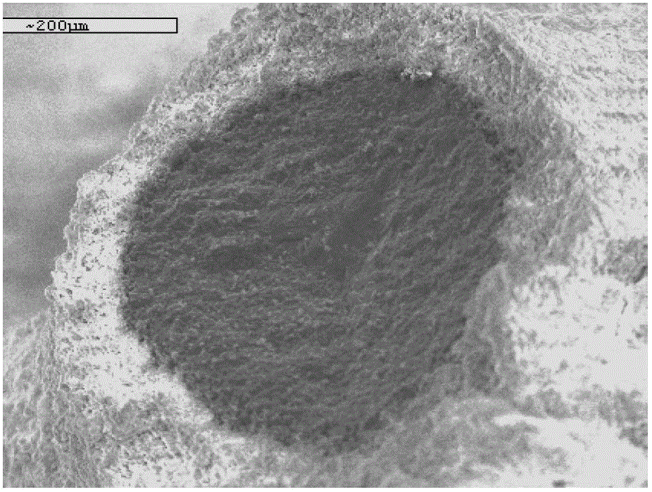 Foam silicon carbide based structured catalyst and application in preparation of butadiene