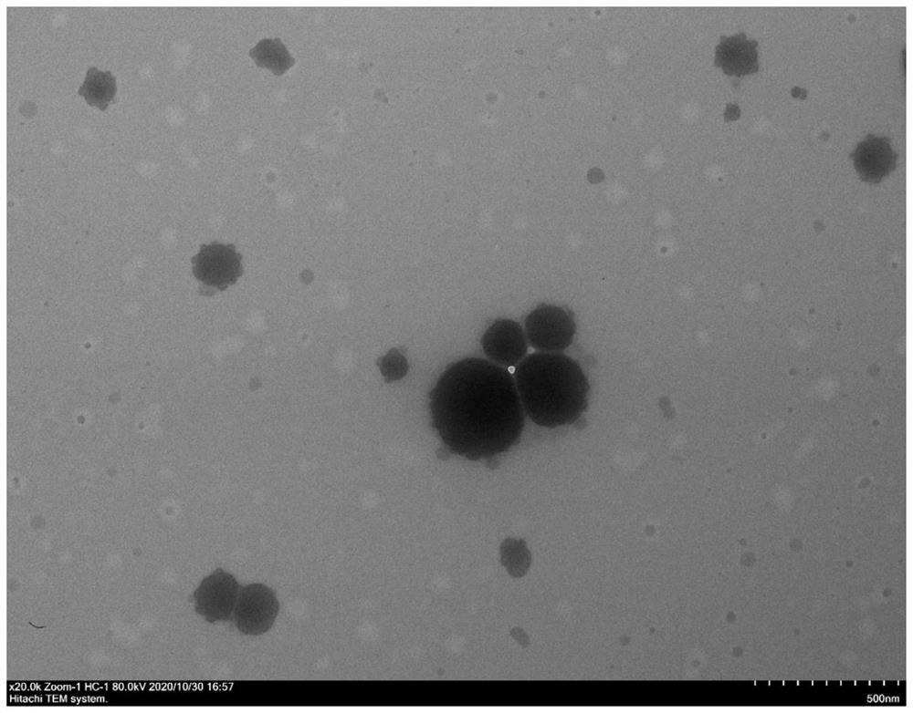 Preparation method of normal-temperature curing type micro-nano zinc long-acting antibacterial mildew inhibitor